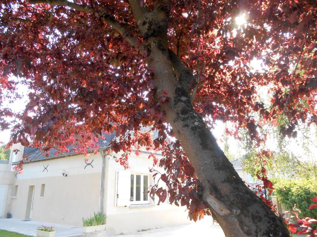 mk hotel frankfurt 60329 Francfort-sur-le-Main
