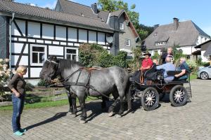 Hôtel Mollseifer Hof In der Trift 1 59955 Winterberg Rhénanie du Nord - Westphalie