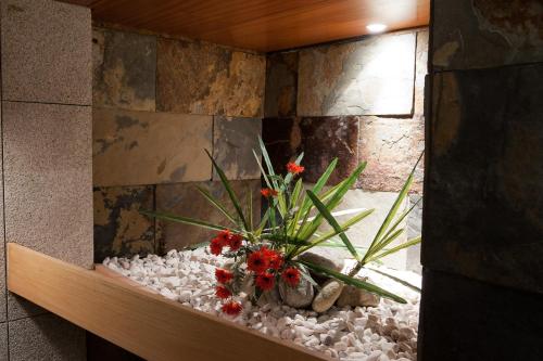 Mondim AL & Spa