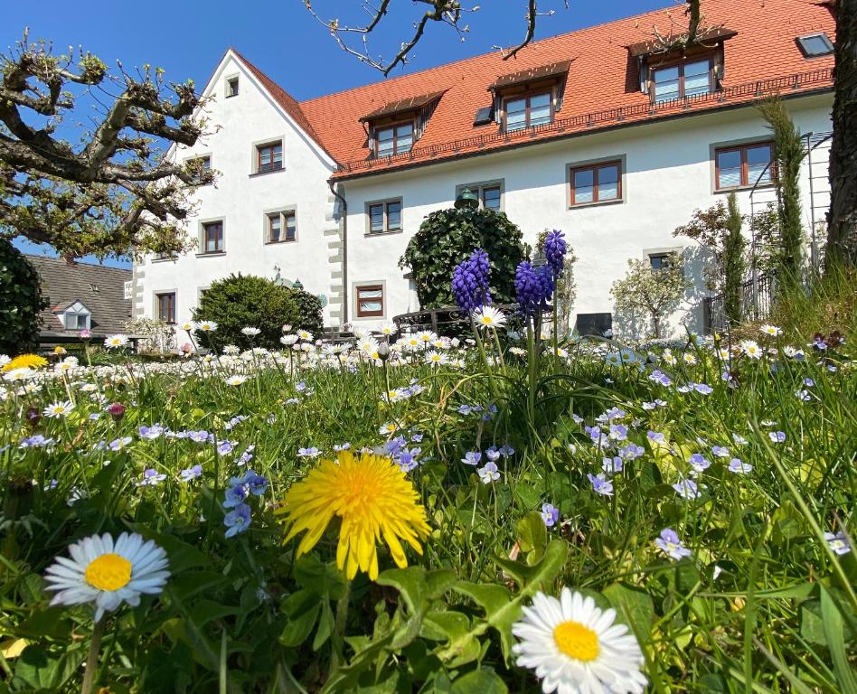 Hôtel Hotel Montfort-Schlössle Streitelsfinger Str. 38, 88131 Lindau