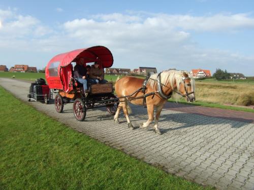 Naturhotel Baltrum