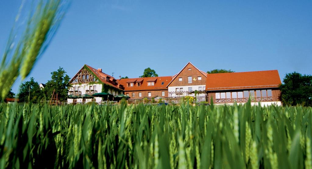Hôtel Hotel Neue Höhe Neuklingenberg 11, 01774 Klingenberg