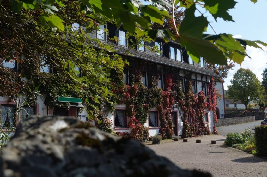 Hôtel Niedereher Mühle 4 Kerpener Straße 54579 Niederehe