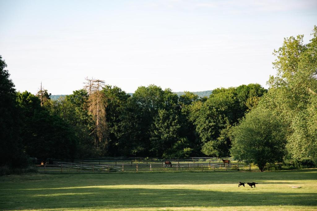 Novotel Domaine de Maffliers Allée des Marronniers, 95560 Maffliers