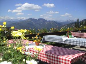 Hôtel Obere Maxlraineralm Obere Maxlraineralm 1 83727 Spitzingsee Bavière