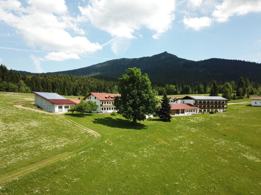 Osserhotel Garni Silbersbach 12, 93470 Lohberg