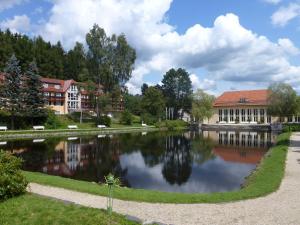 Parkhotel Bad Brambach
