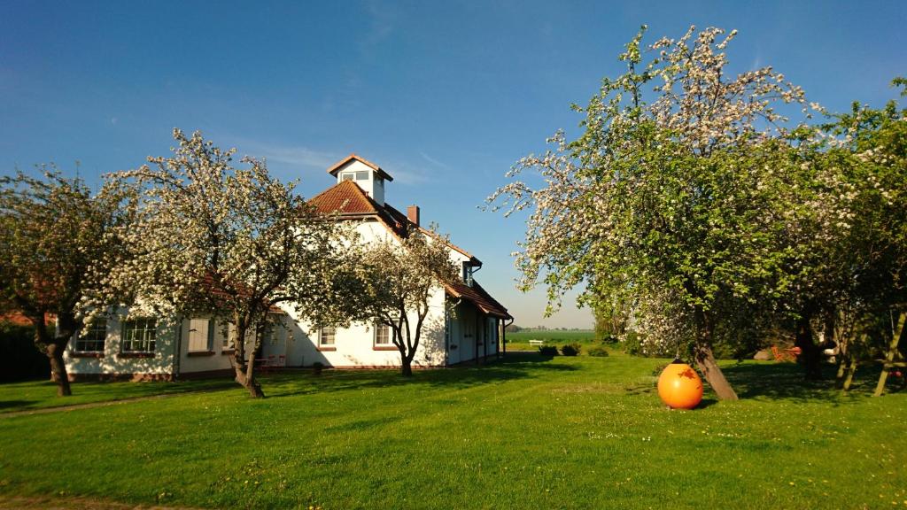 Maison d'hôtes Hotel Pension garni Schwalbenhof Barhöfter Str. 24, 18445 Klausdorf