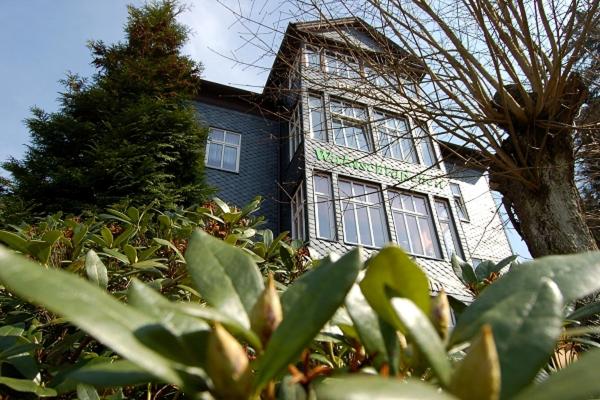 Pension Waldschlösschen im grund 4, 99894 Friedrichroda