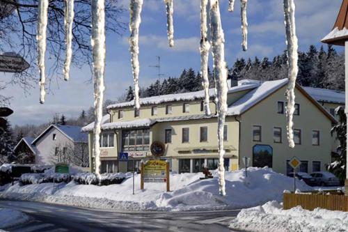 Hotel-Pension Würzbauer Spiegelau allemagne