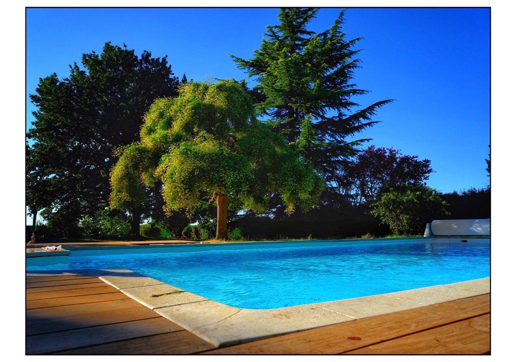 Quinta dos Lobos Boutique Hotel - Art & Nature Experience