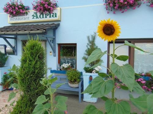 Hotel/Restaurant Adria Windhagen allemagne