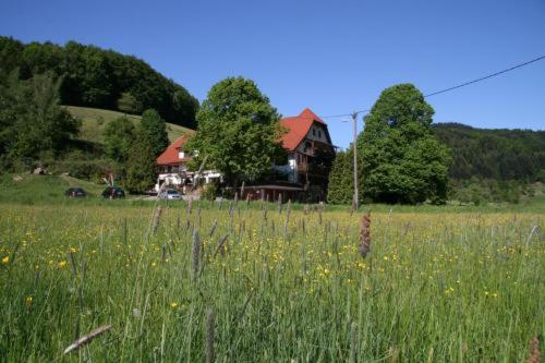 Hotel-Restaurant Kohlenbacher-Hof Waldkirch allemagne