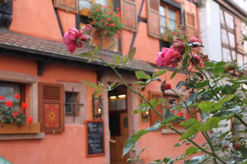 Hôtel Restaurant Le Schlossberg Zellenberg france