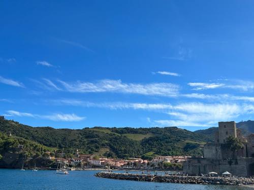 Hotel Restaurant Les Paquebots Port-Vendres france