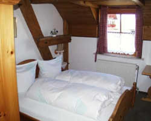 Hotel Restaurant Schrotmühle Scheinfeld allemagne