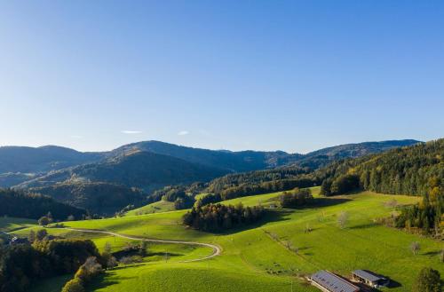 Hotel-Restaurant Sennhütte im Herzen des Südschwarzwalds Kleines Wiesental allemagne