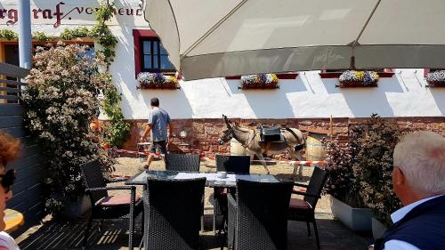 Hôtel Hotel Restaurant Zum Burggraf Mittelgasse 11 Neuleiningen