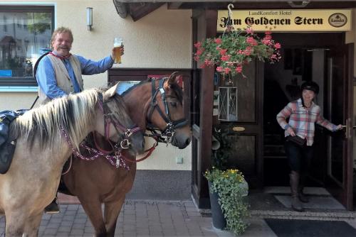 Hotel-Restaurant Zum Goldenen Stern Großalmerode allemagne