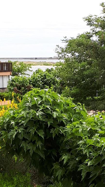 Ringhotel Residenz Wittmund