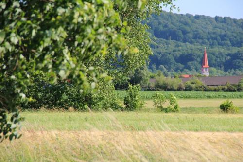 Rotes Ross Marktbergel