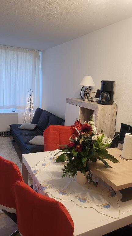 Hôtel Ryan Apartament mit Netflix Am Predigsthul 4, Haus Pröller, 1 OG, Zimmer 125, Sankt Englmar 94379 Sankt Englmar