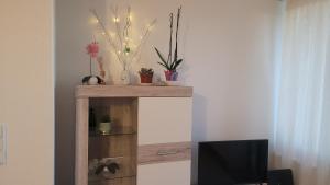 Ryan Apartament mit Netflix