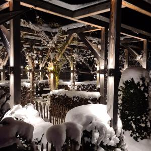 Sauna & Whirlpool - ALPENLIEBE APARTments