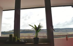 Savoy Hotel Bad Mergentheim