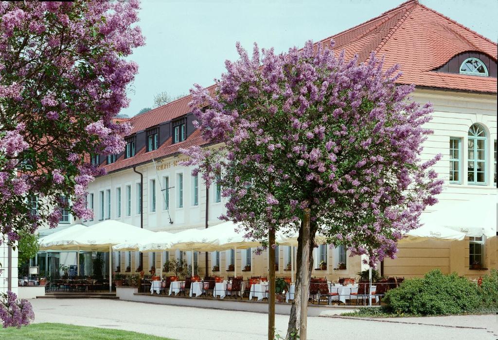 Hôtel Schloss Hotel Dresden Pillnitz August Böckstiegel Str. 10 01326 Dresde