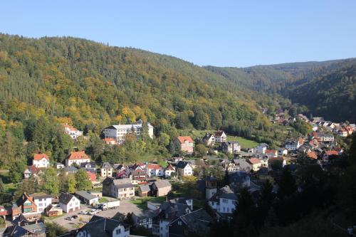 Hôtel Hotel SchwarzaBurg Friedrich Ebert Platz 16; Schwarzburg