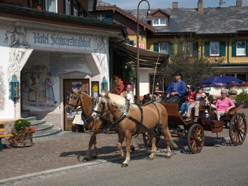 Hotel Schwarzwaldhof Hinterzarten allemagne