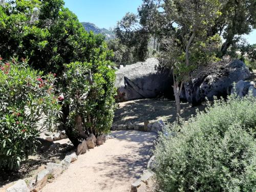 SOLE DI DUME