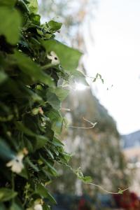 Sommers Hotel Altes Posteck