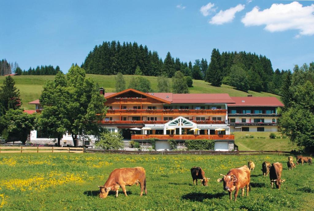 Hôtel Sonnenbichl Hotel am Rotfischbach Sägestrasse 19 87538 Fischen im Allgäu