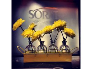 SORAT Hotel Cottbus