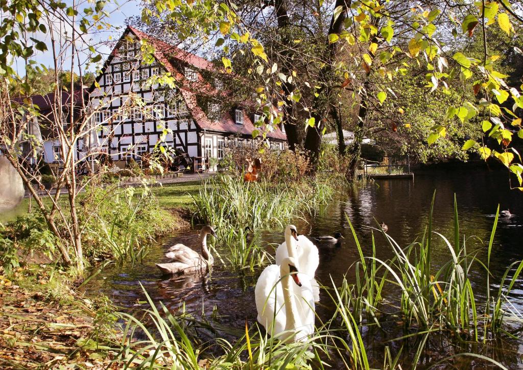 Springbach-Mühle Belzig Mühlenweg 2, 14806 Bad Belzig