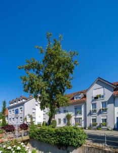 Hôtel Stadthotel Pfeffermühle Oberdorfstrasse 24 77723 Gengenbach Bade-Wurtemberg