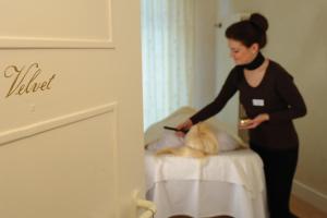 Steigenberger Hotel & Spa Bad Pyrmont