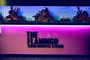 The Flamingo