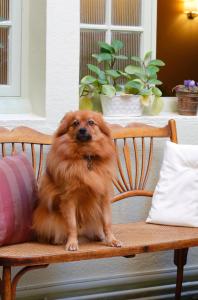 The Originals Boutique, Hostellerie des Trois Pigeons, Paray-le-Monial (Inter-Hotel)