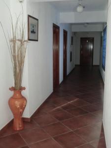 Varandas de Alter Hotel & SPA