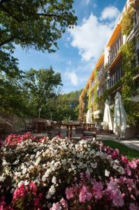 Hôtel Villa Borghese, The Originals Relais Avenue des Thermes 04800 Gréoux-les-Bains Provence-Alpes-Côte d\'Azur