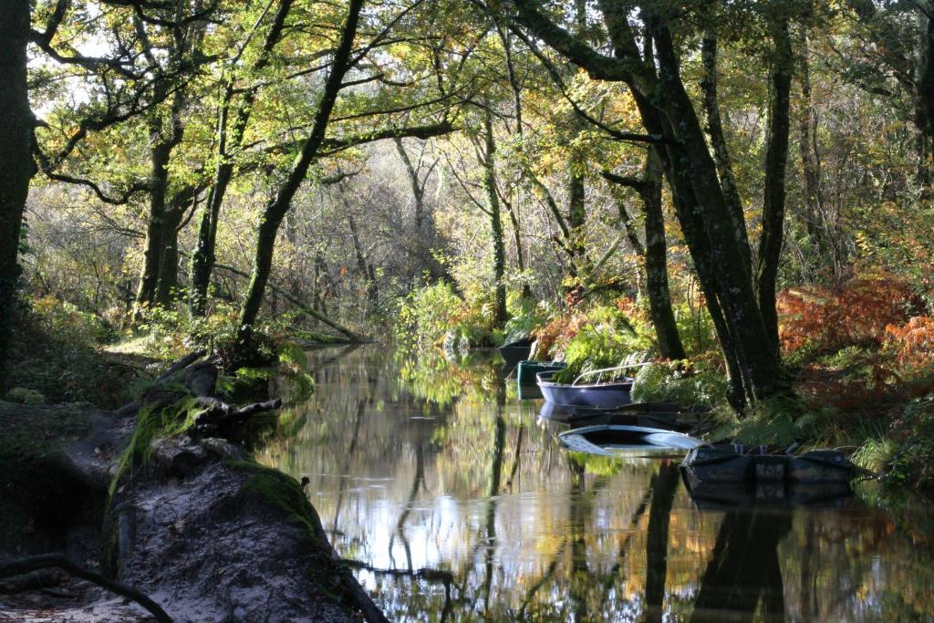 Villa de l'Etang Blanc 2265 route de l'étang blanc, 40510 Seignosse