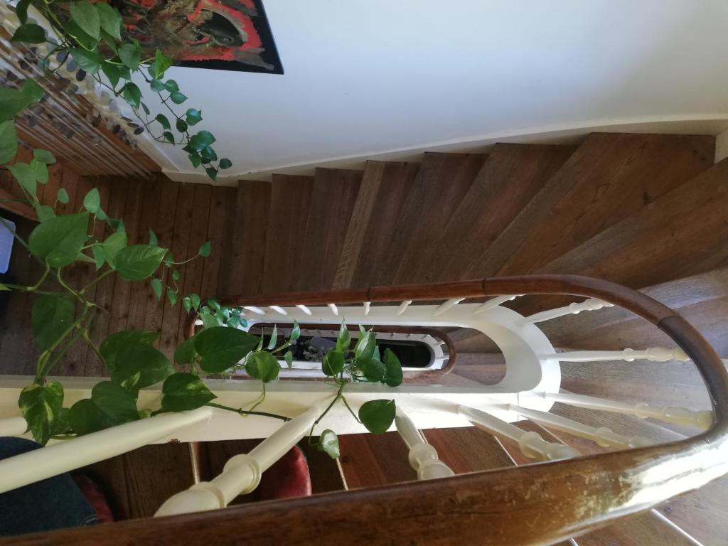 Villa Florentine 69005 Lyon