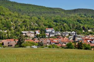 Hôtel Villa Frieden Esplanade 6 07422 Bad Blankenburg Thuringe