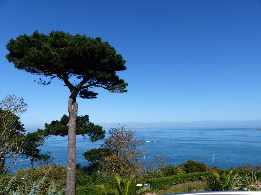 Hôtel Villa Les Hydrangéas 53 Boulevard Clemenceau 22700 Perros-Guirec