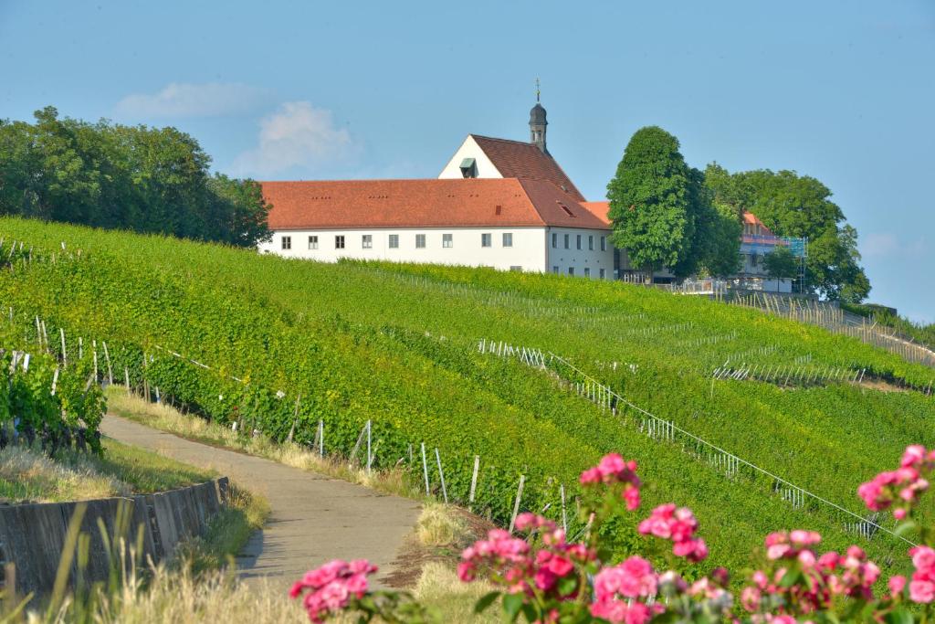 Vogelsburg Vogelsburg 1, 97332 Volkach