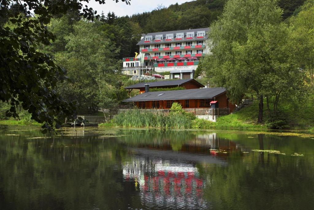 Hôtel Waldhaus am See Hoppecketalstraße 43 34508 Willingen