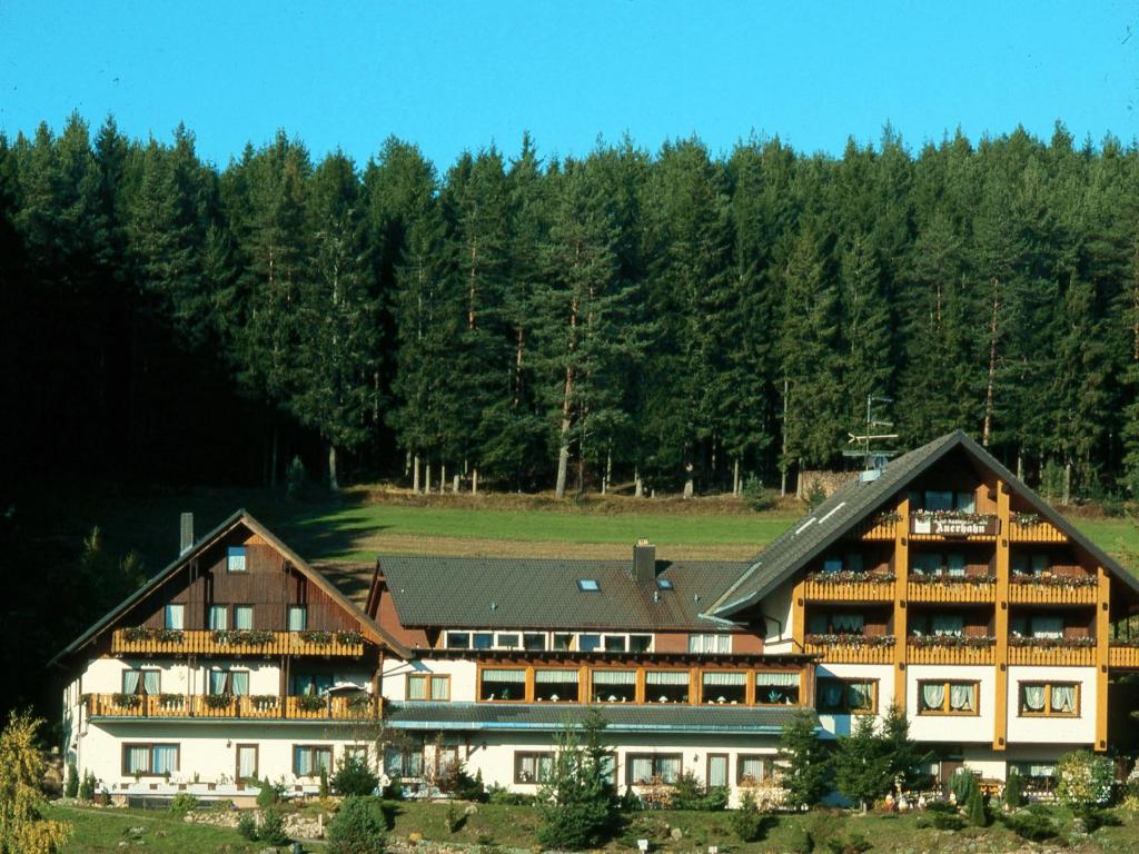 Waldhotel Auerhahn B & B Sommerberg. 6, 79871 Eisenbach